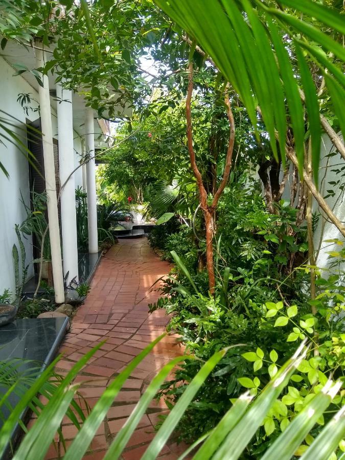 Guesthouse Mata Da Praia 비토리아 외부 사진