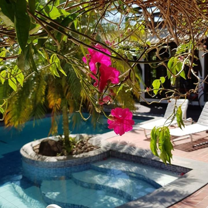 Guesthouse Mata Da Praia 비토리아 외부 사진